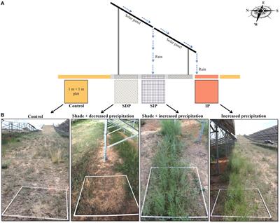 Potential benefits and risks of solar photovoltaic power plants on arid and semi-arid ecosystems: an assessment of soil microbial and plant communities